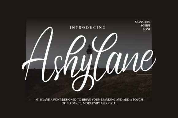 Ashylane Script: A Font for Design That Feels Personal