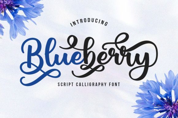 Blueberry Script: A Handwritten Font That Balances Charm and Class