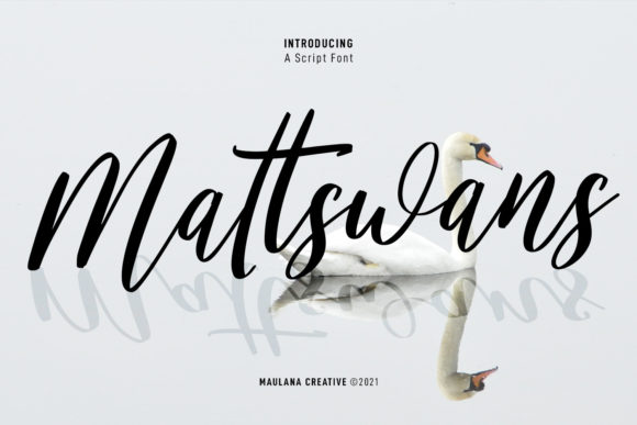 Mattswans Script: The Flowing Typeface for Modern Designs