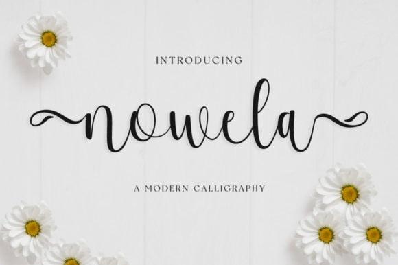 Nowela Script: A Designer's Guide to This Handwritten Font