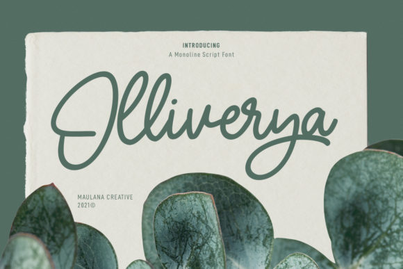Olliverya Script: A Modern Calligraphy Font for Creative Brands