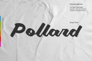Pollard Script: Bold Charm for Modern Design