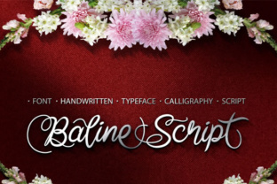 Unlocking the Charm of Baline Script: A Designer’s Guide